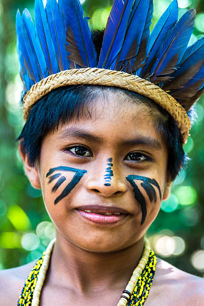 istock Portrait of Native Brazilian boy 495835012