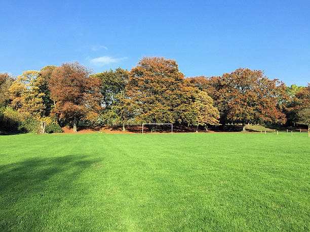istock Football posts in autumn sunshine 495835872