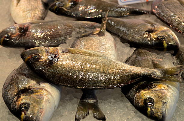 istock Fresh Fish at the market, displayed on ice 495839136