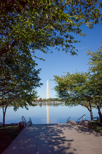 National monument and blurred cherry blossom branches on cloudy sky background.