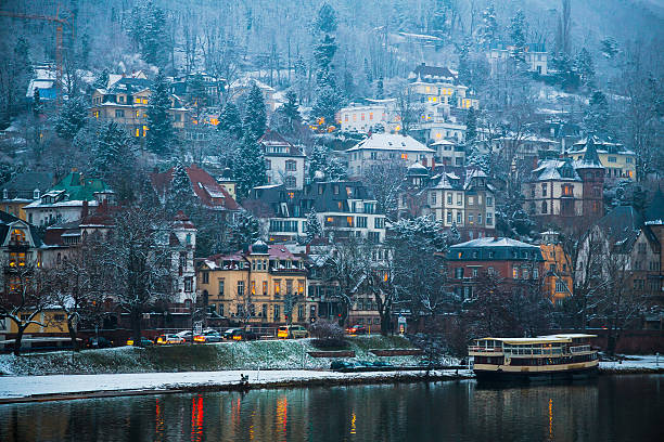 istock Winter Riverbank in Heidelberg 495840568