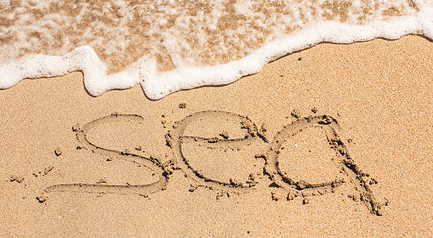 istock Word Sea Written in the Sand on a Beach 495841992