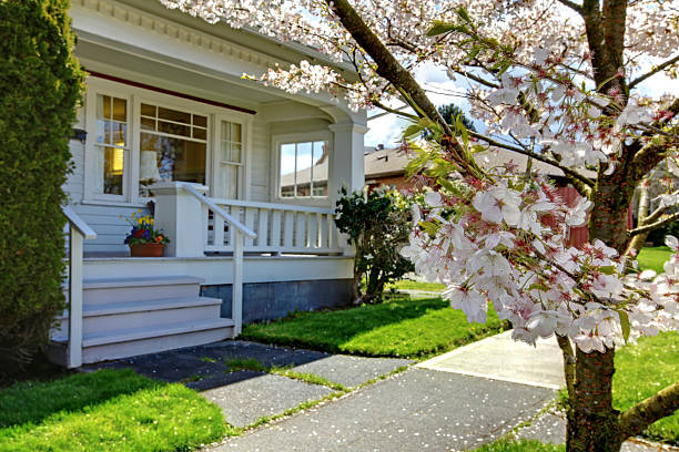 istock Little old cute house with a blooming cherry tree. 495851383