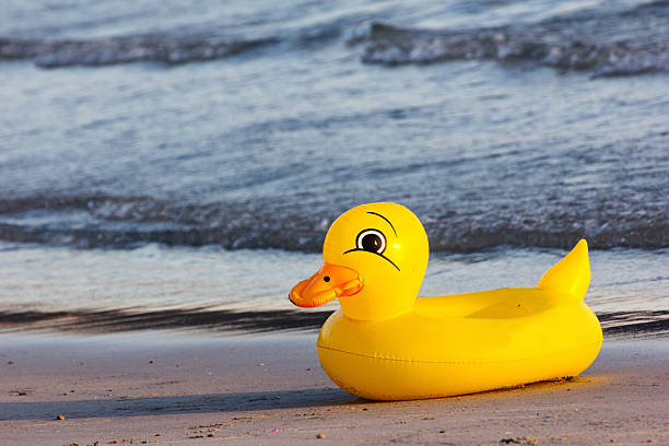 istock duck rubber ring, duck swim-ring on the beach 495854207