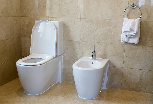 istock Toilet and bidet 495855215
