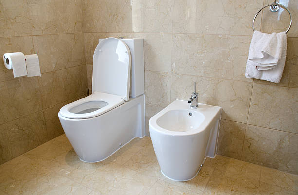 istock Toilet and bidet 495855277