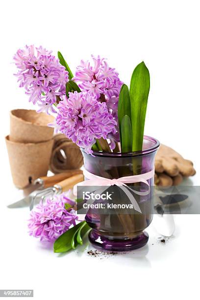 Beautiful Hyacinths And Garden Tools Stock Photo - Download Image Now - Agriculture, Beauty In Nature, Blinking