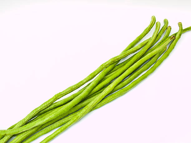 istock Yardlong bean isolated on white background 495858467