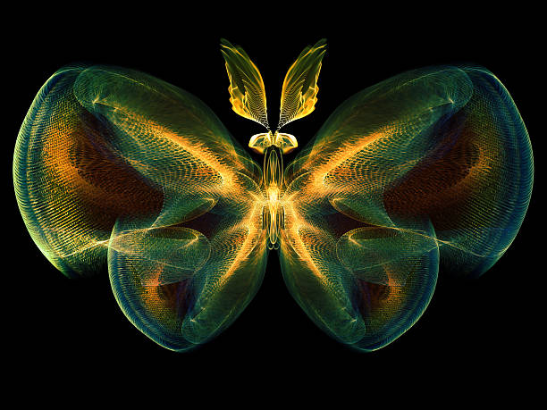 istock Lights of Butterfly 495867977