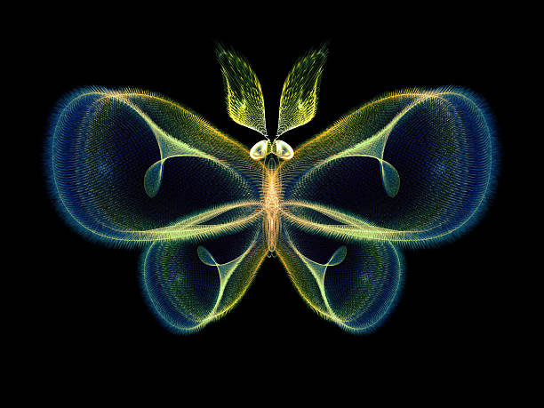 istock In Search of Butterfly 495868015