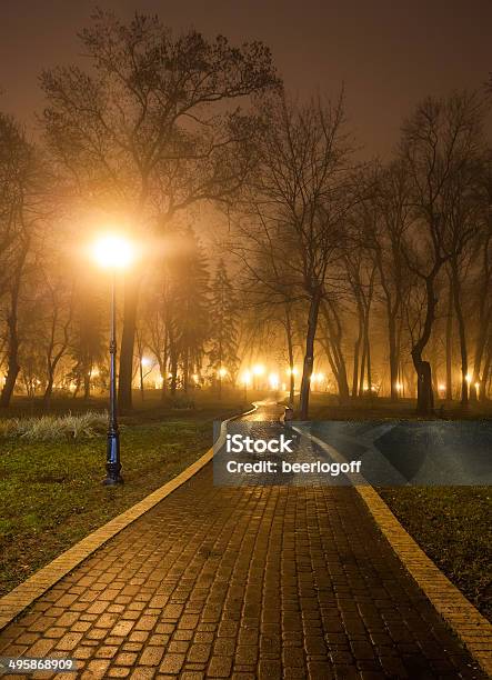 The Avenue Of City Park At Night Stock Photo - Download Image Now - Alley, Autumn, Avenue