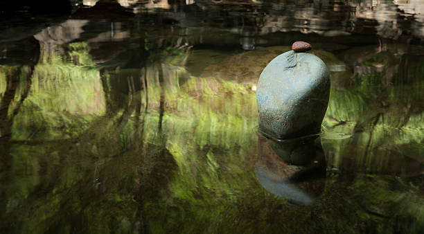 istock Zen meditation landscape. Calm and spiritual nature environment 495870021