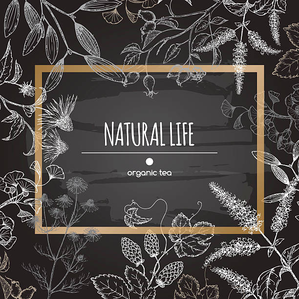 ilustraciones, imágenes clip art, dibujos animados e iconos de stock de orgánico etiqueta decoradas con un té de hierbas en fondo de pizarra. - chamomile entertainment nature leaf