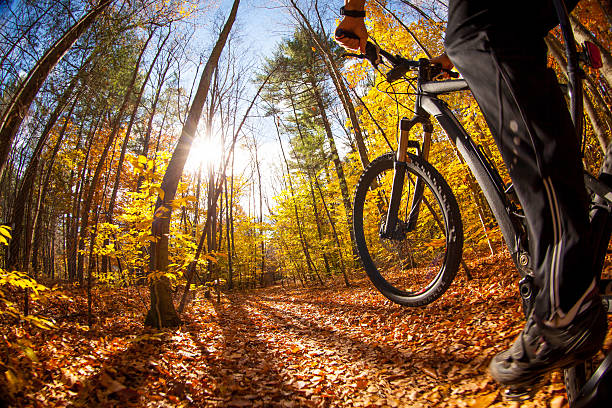 istock Mountain biking on a bright and crisp day 495871104