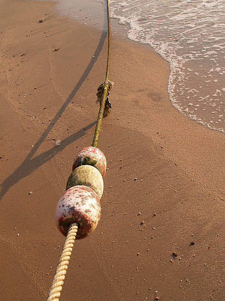 istock rope of buoy 495871985
