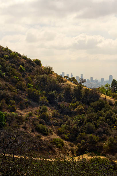 istock Mountains Los Angeles Skyline 495873172