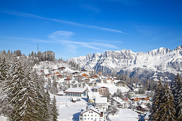 istock Winter holiday house 495873974