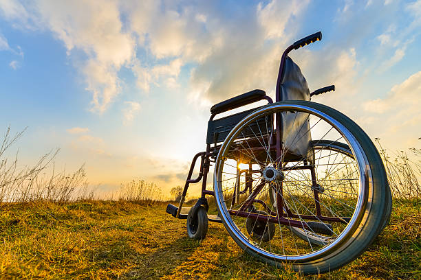 istock Empty wheelchair on the meadow at sunset 495874200