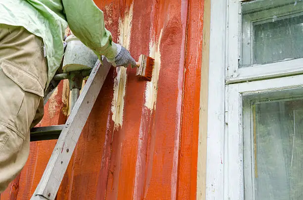 Photo of Painter man on ladder paint wooden house wall