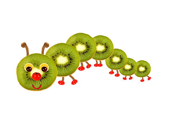 Creative food concept. Funny little  caterpillar made from fruit and vegetables