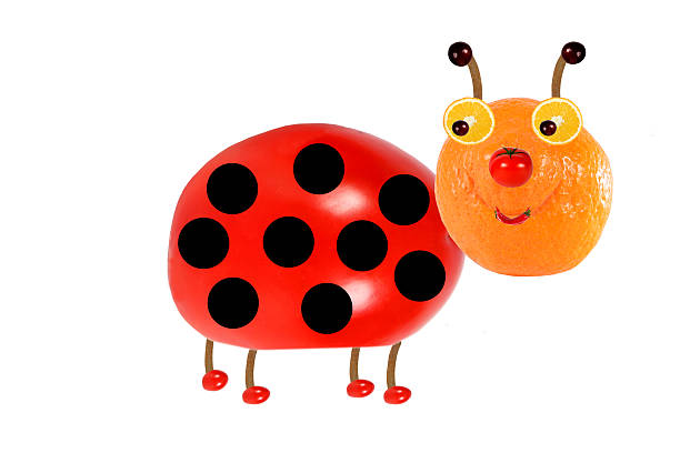Creative food concept. Funny little  ladybird made from fruit and vegetables