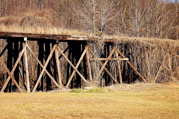 Old railroad tracks on trestle partially covered by kudzu
