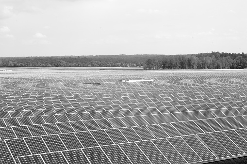 Farm of solar panels gathering sunlight to make electricity.  The panels follow the sun to collect the most sunlight.