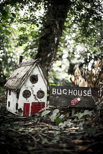 Bug House stock photo