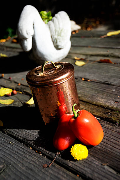 Tomatoes and flower stock photo