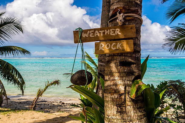 istock weather rock in a paradise beach 495881990