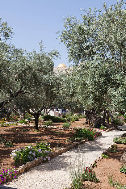istock Garden of Gethsemane 495882314