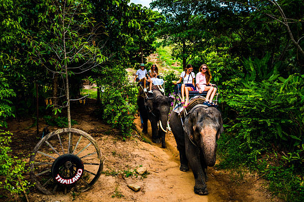 istock Tourist safari elephant trekking 495882468