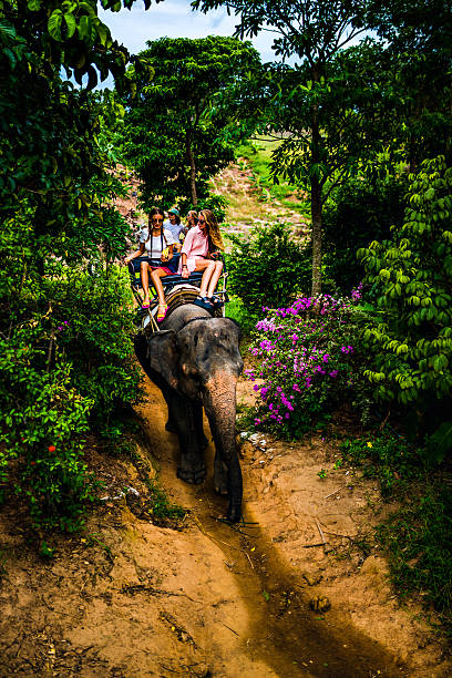 istock Tourist safari elephant trekking 495882766