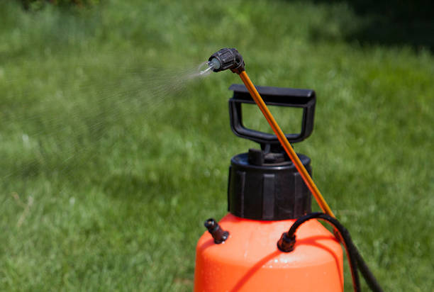 istock Device of spraying pesticide. 495884006