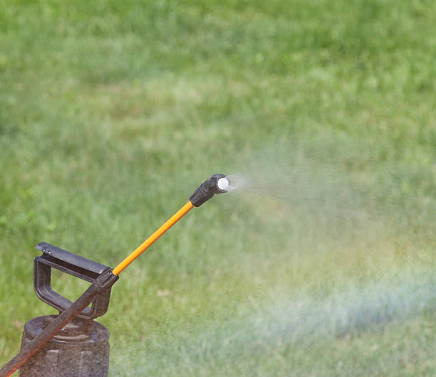 istock Device of spraying pesticide. 495884422