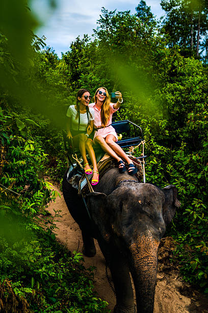 istock Tourist safari elephant trekking 495896682