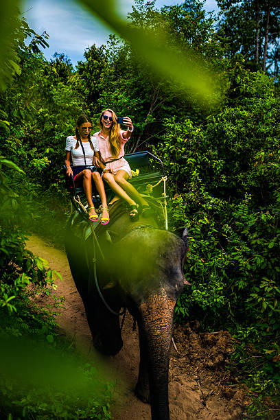 istock Tourist safari elephant trekking 495896972