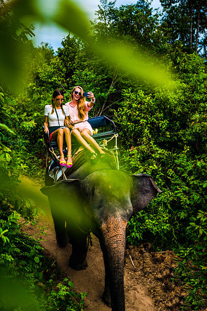 istock Tourist safari elephant trekking 495897270