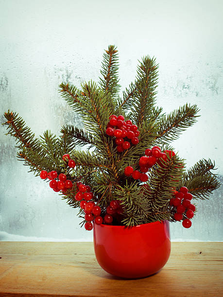 istock viburnum berries and spruce branches 495897726