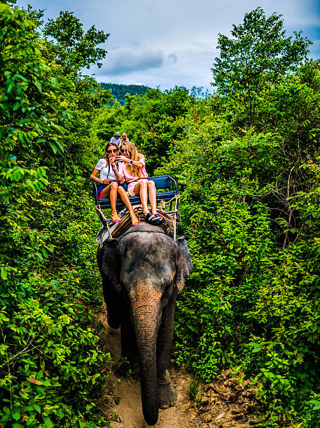 istock Tourist safari elephant trekking 495898484