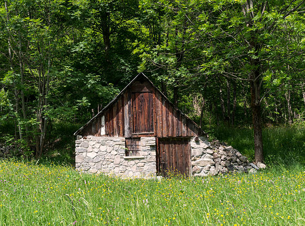 istock Little cottage in the Alps 495898570