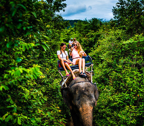 istock Tourist safari elephant trekking 495898752