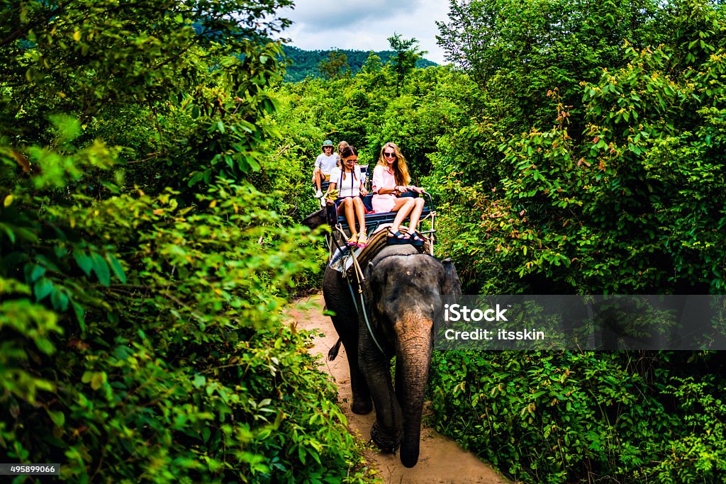 Tourist safari elephant trekking Tourist safari elephant trekking in Thailand Elephant Stock Photo