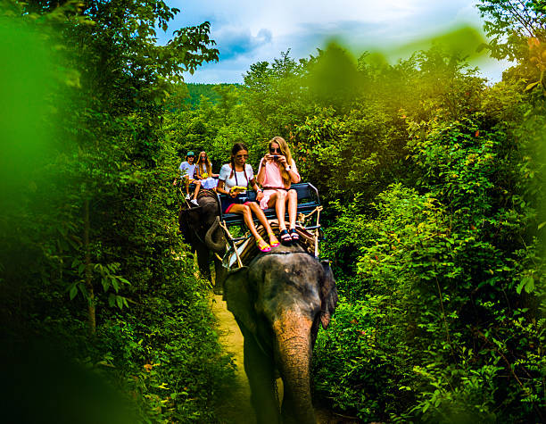 istock Tourist safari elephant trekking 495899340
