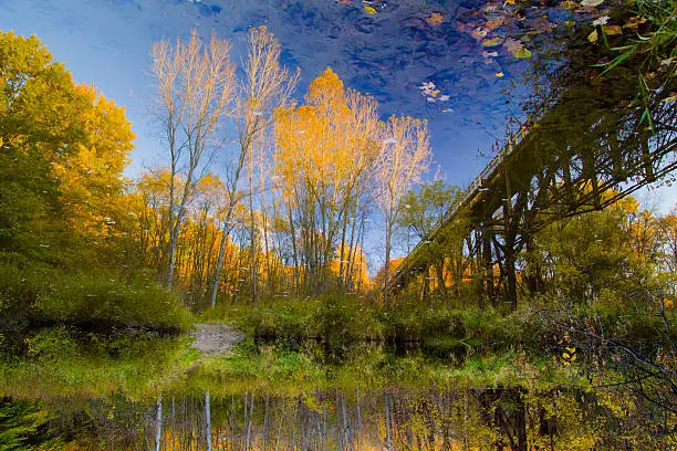 Photo of Autumn River Reflections