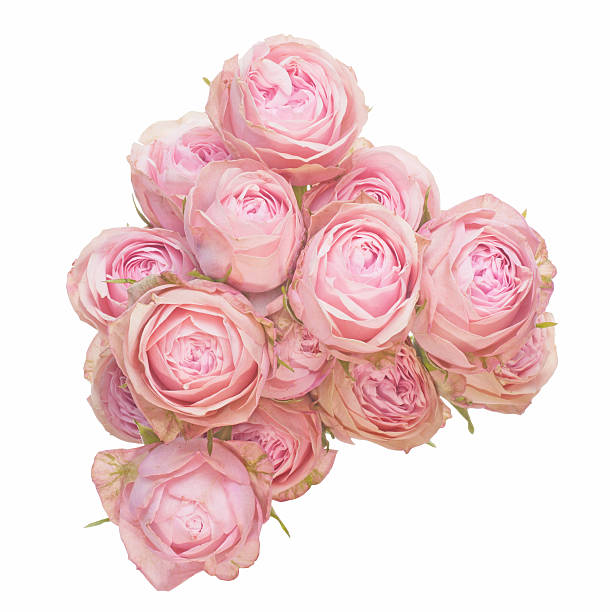 istock Bouquet of roses 495902250