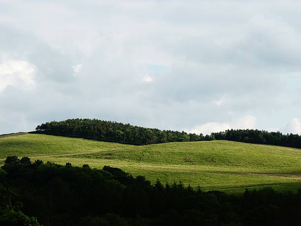 colinas verdes panorámica fondo de primavera verano - cheshire non urban scene scenics rural scene fotografías e imágenes de stock