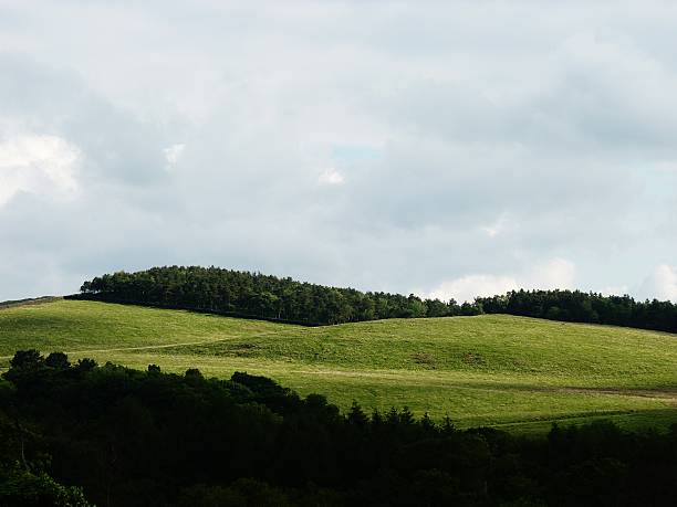 언덕 숲색 아름다운 배경 여름 스프링 - cheshire non urban scene scenics rural scene 뉴스 사진 이미지