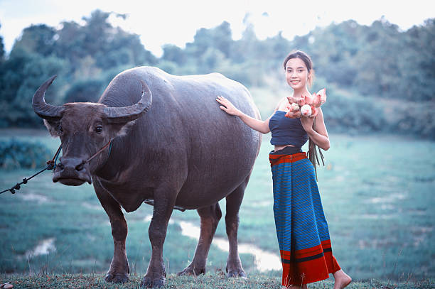 istock thai ancient young women with buffalo on rural 495909328