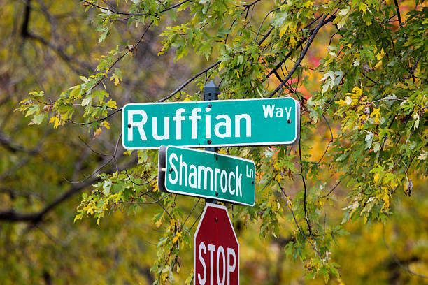 istock Street Sign Against Fall Backdrop of Leaves 495909744